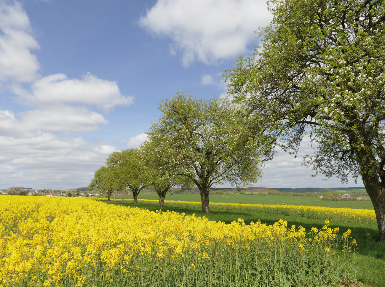 5 Cadastre des biotopes/protection de l’environnement