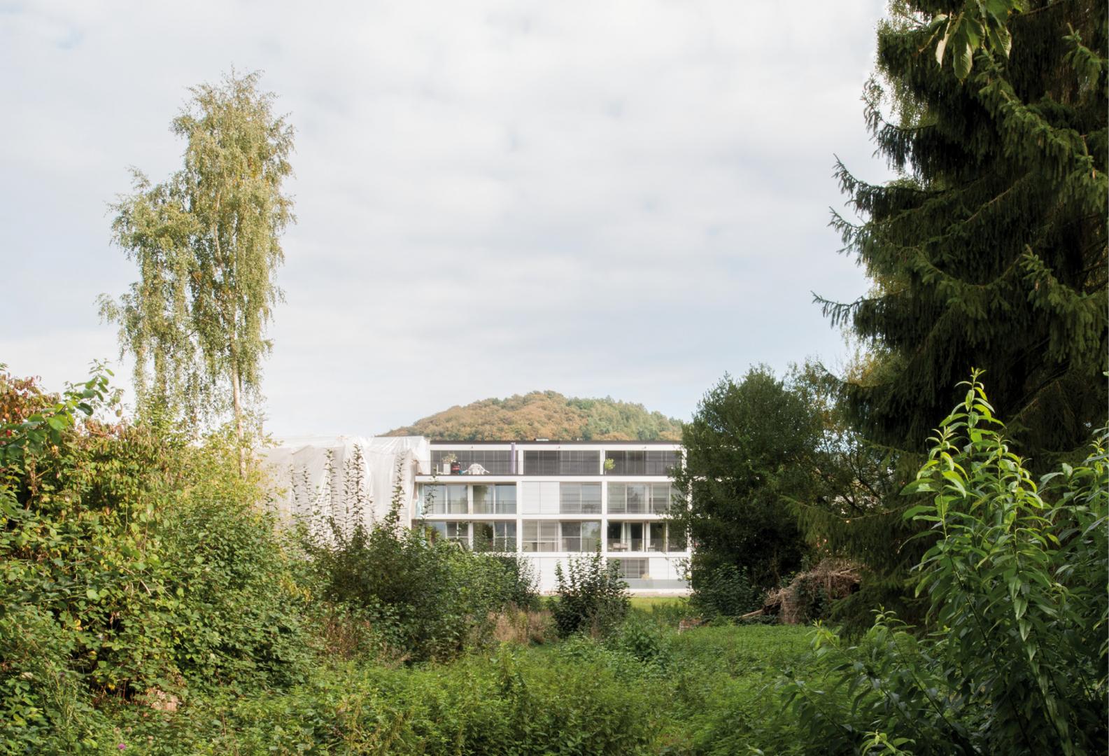 1 PARK HOUSING: 14 apartments collective housing bloc