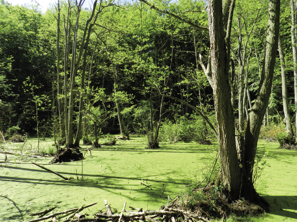 ENECO INGéNIEURS-CONSEILS S.A.