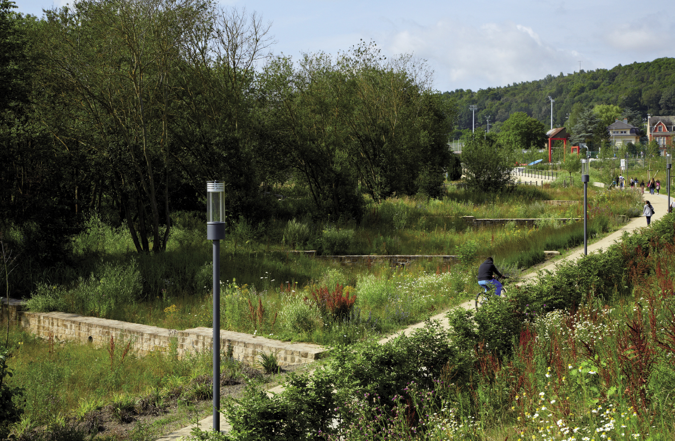 SCHROEDER & ASSOCIES S.A. 