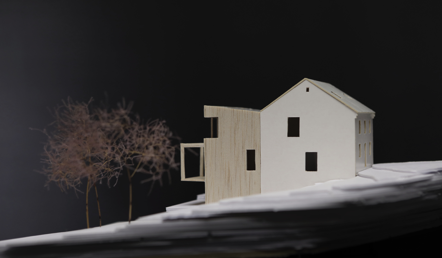 LARUADE architecte et urbaniste